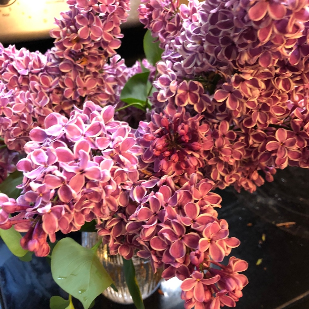 Meet your Posher, Rebecca